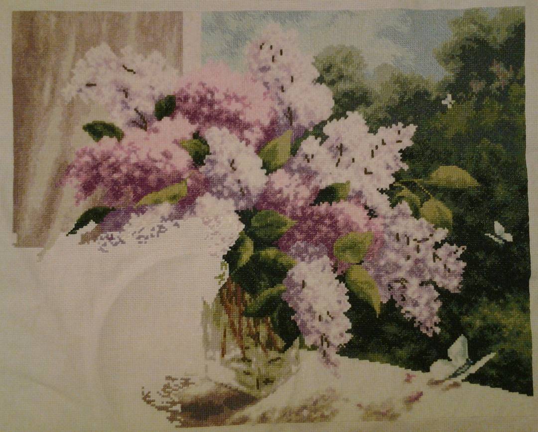 Изображение к отзыву @arrakurt